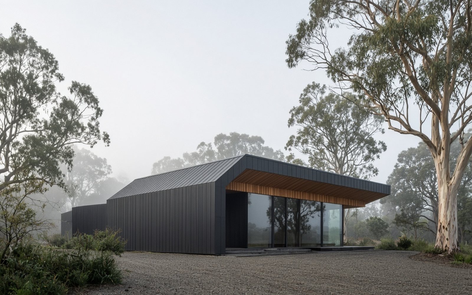 Low studio building among eucalyptus, morning mist